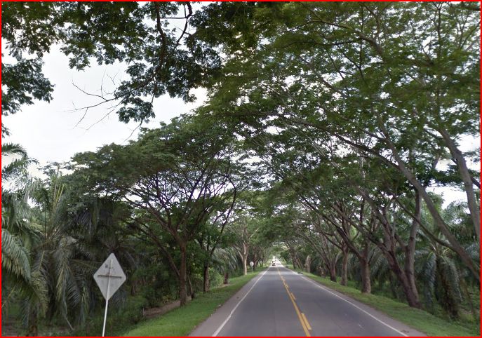 Route 45